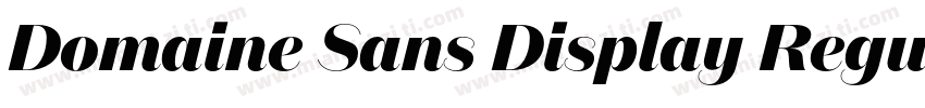 Domaine Sans Display Regula字体转换